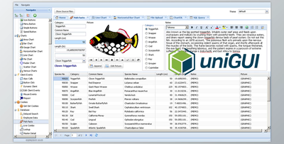 FMSoft uniGUI Complete Professional v1.95.0.1583 + Runtime + Theme Pack + Documentation + CRACK