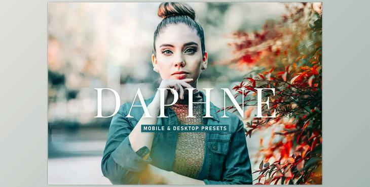 Daphne Pro Lightroom Presets CreativeMarket - 6929655