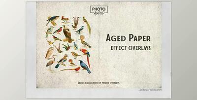 Aged Paper Effect Overlays CreativeMarket - 6916248