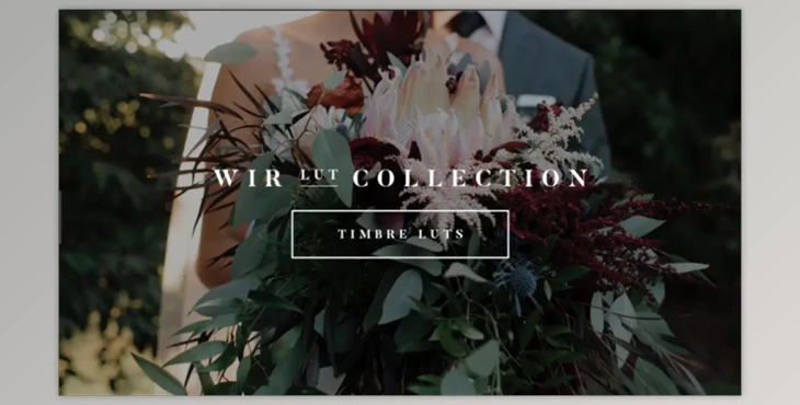 PROFESSIONAL COLOR GRADING LUTS FOR WEDDING FILMMAKERS (Timbre LUTs Collection)