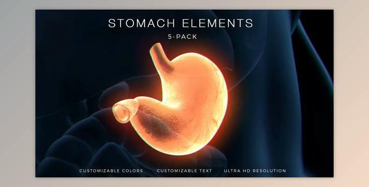 Stomach Elements (Videohive 33200461) - AE Project