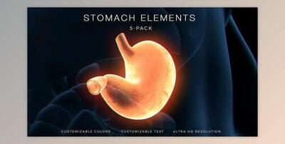 Stomach Elements (Videohive 33200461) - AE Project