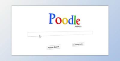 Search Engine Advertisement (Videohive 5531581) - AE Project