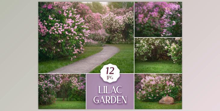 12 Lilac Garden Backdrops, Summer Digital Photoshop Backgrounds with Flowering Trees & Green Grass for Photographers