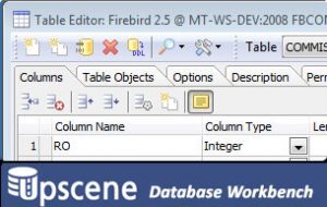 Database Workbench Pro 6.5.2.628