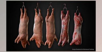 Unreal Engine - Carcasses v4.20