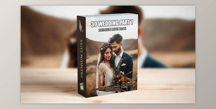 Revolutionize Your Wedding Videos: Top 30 Cinematic LUTs for Professional Videographers (Videohive 50085929)