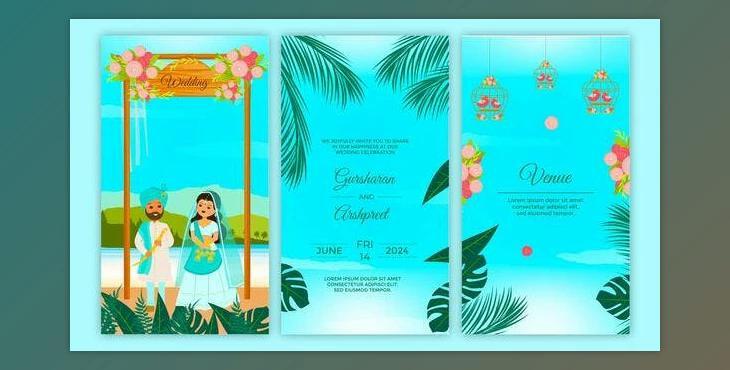 Traditional Punjabi Theme Wedding Invitation Story (Videohive 43750799) - AE Project
