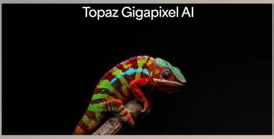 Topaz Gigapixel AI v8.4.2 (Win, Mac-v8.4.2)