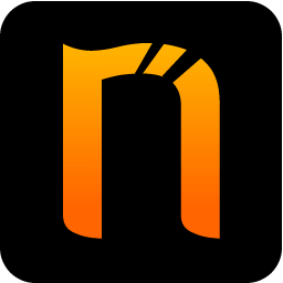 Netsparker Professional Edition 5.8.2.28358 + Portable