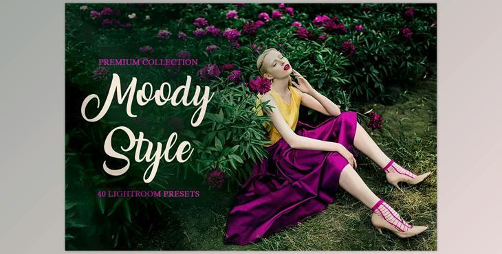 Creativemarket Moody Style Presets for Lightroom 4291241