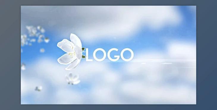 Flying Flowers Opener (Videohive 32139596) - AE Project