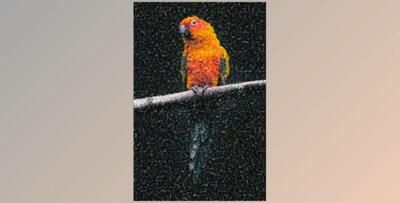 Artistic Dots Photo Template – GraphicRiver 33529110 (PSD, JPG)