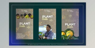 Garden Instagram Story MOGRT (Videohive 51948126) - PR Project