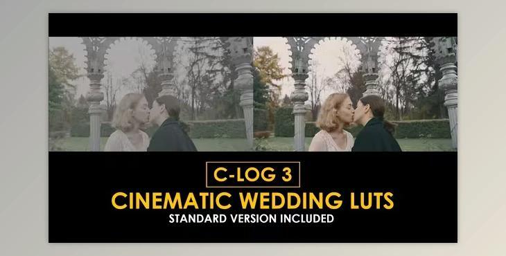 C-Log3 Cinematic Wedding and Standard Color LUTs (videohive 50930806)