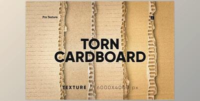 25 Ripped Cardboard Overlay - 278871995