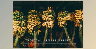 Tropical breeze – Lightroom preset By LovelyPhotoPrints