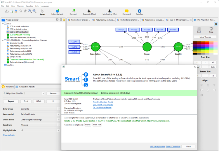 SmartPLS Professional 4.1 x64