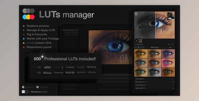 LUTs Manager: Preview LUTs In Real-time Tool & 500 Professional LUTs (Videohive 55855580) - PR Project