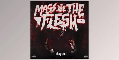 Dawizvrd Mass Of The Flesh Chapter Shaperbox 2