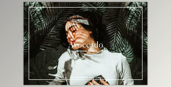 Avoccado Lightroom Presets By Colorscorrection