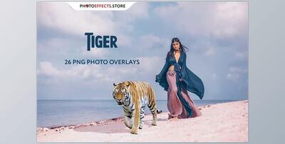 26 Tiger Photo Overlays