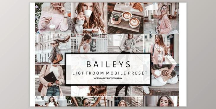 NEW! Mobile Lightroom Preset BAILEYS (DNG, JPG)