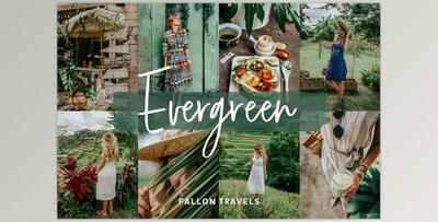 Evergreen Lightroom Mobile Presets CreativeMarket-5017153 (DNG)