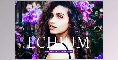 Echium Pro Lightroom Presets CreativeMarket - 7039499