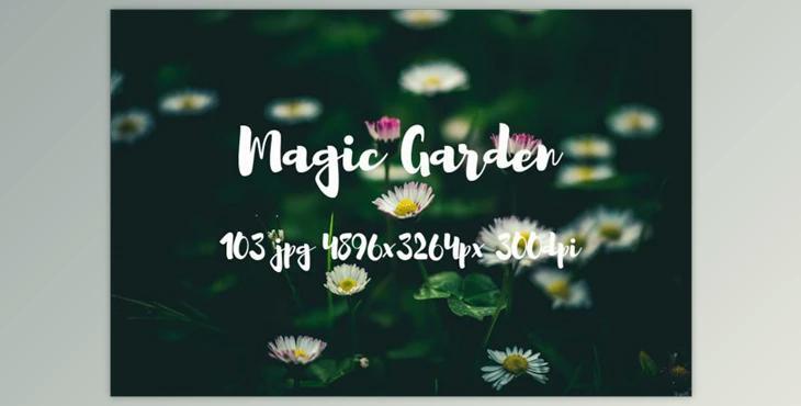 Magic garden pack (jpg, dpi)