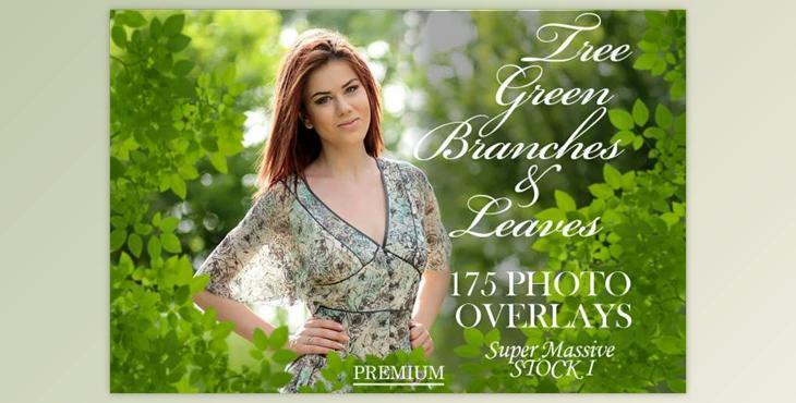 175 Green Tree Branches Overlays