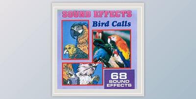 Anton Hughes Sound Effects Bird Calls