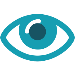 CareUEyes Pro 2.4.9