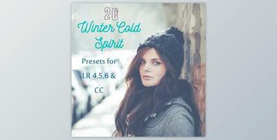 Pack 20 LR Presets Winter time By Presets Light Shop (LRTEMPLATE, JPG)
