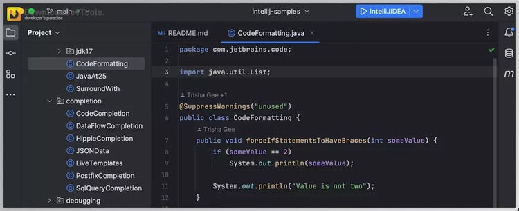 JetBrains IntelliJ IDEA Ultimate v2025.1 Build 251.23774.435 for Win & Linux & macOS1