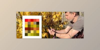 Finding Colour Palettes in Nature using Procreate