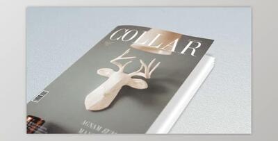 Book and Magazine Promo (Videohive 21314752) - AE Project