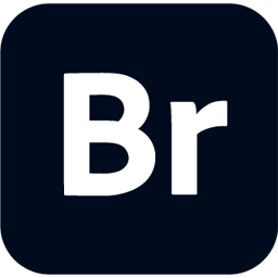 Adobe Bridge 2025 v15.1.0.635 Win/macOS