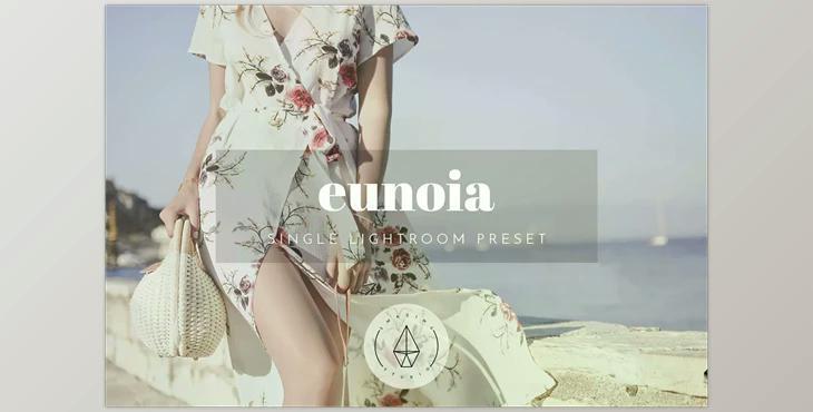 Eunoia – Lightroom Preset CreativeMarket 2637154