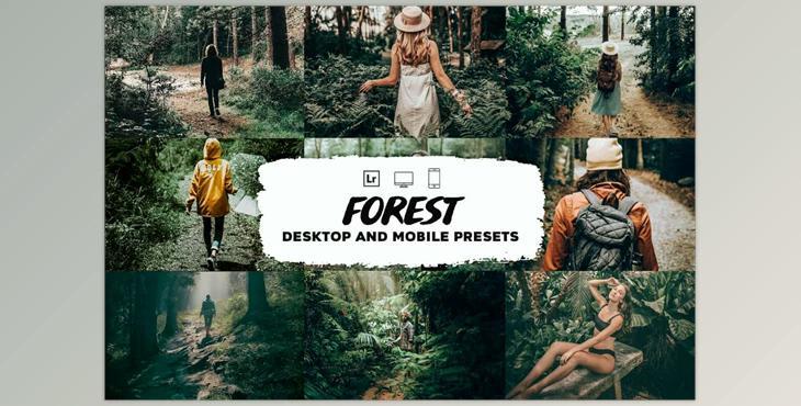 Forest Lightroom Presets CreativeMarket-5953341 (DNG)