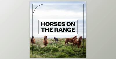 Blastwave FX Horses on the Range