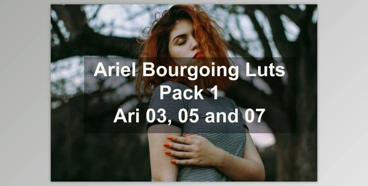 Ariel Bourgoing Luts Pack By Bourgoing Presets (cube)