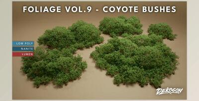 Unreal Engine - Foliage VOL.9 - Coyote Bushes (Nanite and Low Poly)