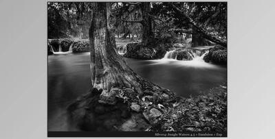 Silver 4 Perfect Black and White Presets - Seim Effects