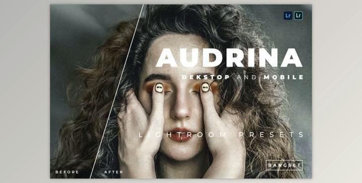 Audrina Desktop and Mobile Lightroom Preset by Bangset