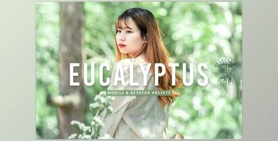 Eucalyptus Pro Lightroom Presets CreativeMarket - 7375252