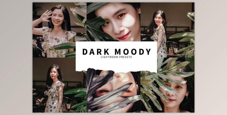 10 Dark Moody Lightroom Presets By Fitra Anas