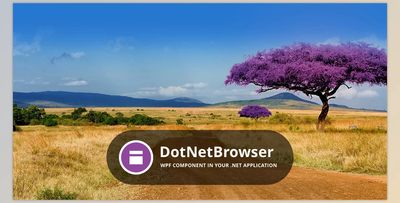 TeamDev DotNetBrowser v1.21.3 (11 Feb 2020) + Patcher