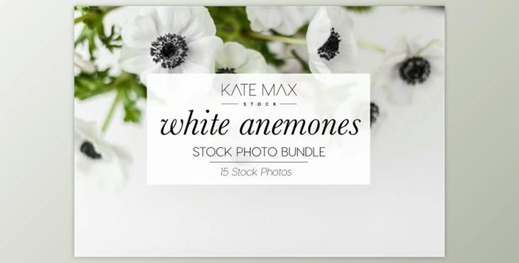 White Anemones Stock Photo Bundle By KateMaxStock