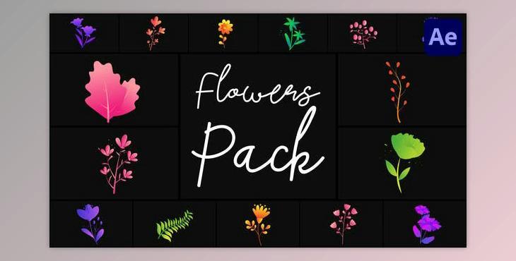 Flowers Pack for After Effects (Videohive 50689716) - AE Project